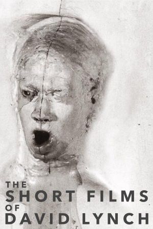The Short Films of David Lynch's poster