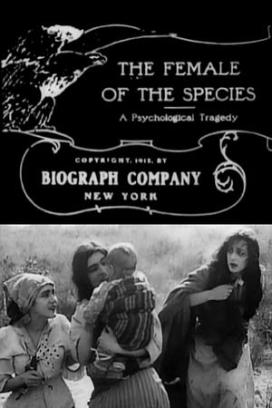 The Female of the Species's poster