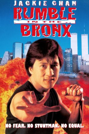 Rumble in the Bronx's poster