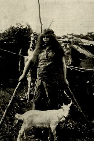 The Wife of Cain's poster image