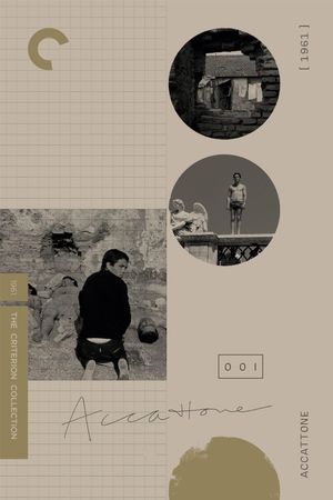 Accattone's poster