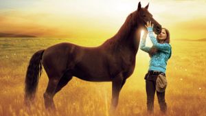 Flicka 2's poster