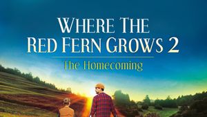 Where The Red Fern Grows Part 2's poster