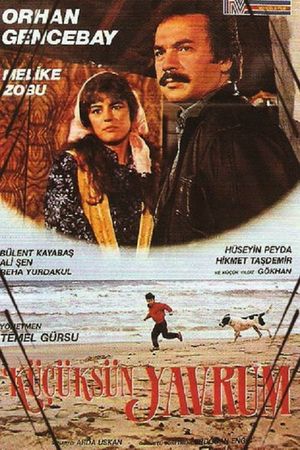 Küçüksün Yavrum's poster
