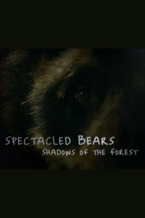 Spectacled Bears: Shadows of the Forest's poster