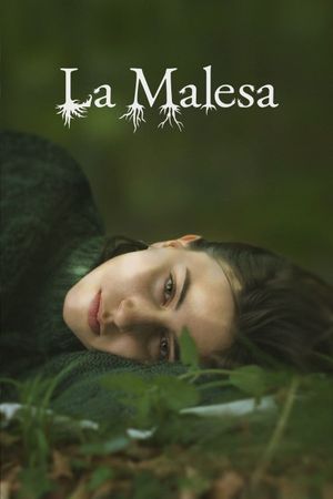 La Malesa's poster