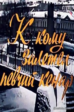 К кому залетел певчий кенар's poster