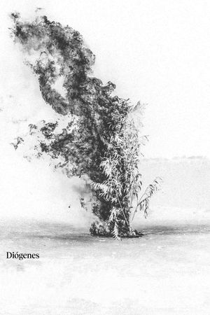 Diógenes's poster