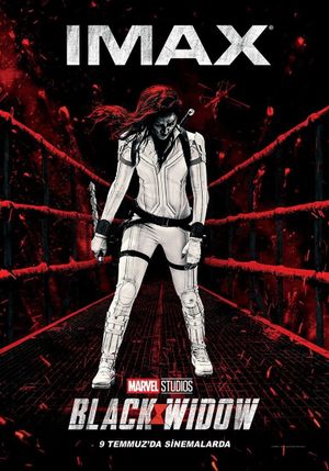 Black Widow's poster