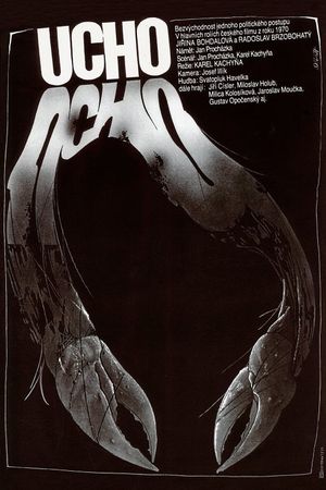 The Ear's poster