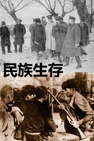 民族生存's poster