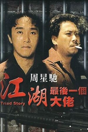 Triad Story's poster