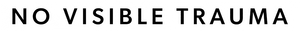 No Visible Trauma's poster