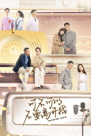 Could You Don't Leave Me's poster