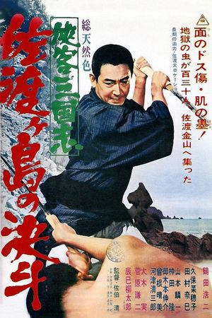 Kyôkakû san gôkushî - sâtoke shimâ no tâiketsû's poster image