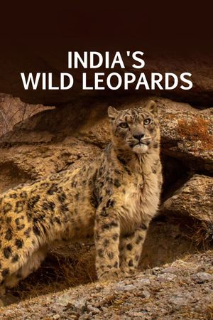 India's Wild Leopards's poster