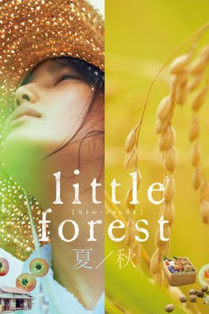 Little Forest: Summer/Autumn's poster