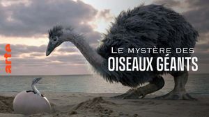 Le mystère des oiseaux géants's poster