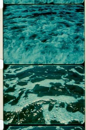 A Child's Garden and the Serious Sea's poster