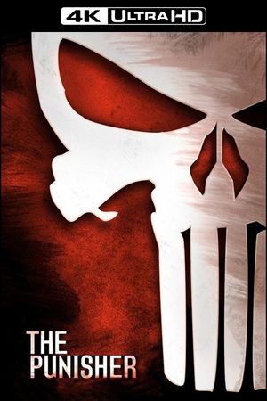 The Punisher's poster