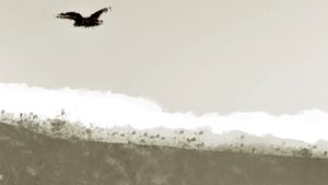 Transfer's poster