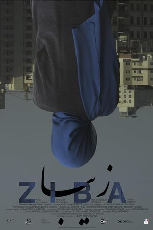 Ziba's poster