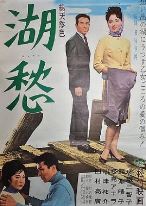 湖愁's poster image