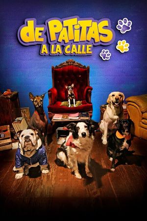 The Secret Life of Animals's poster