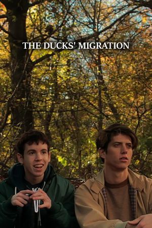 The Ducks' Migration's poster