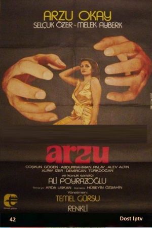 Arzu's poster