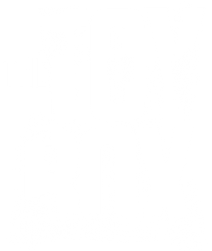 The Toybox's poster
