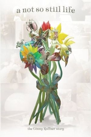 A Not So Still Life's poster