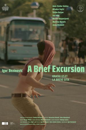 A Brief Excursion's poster