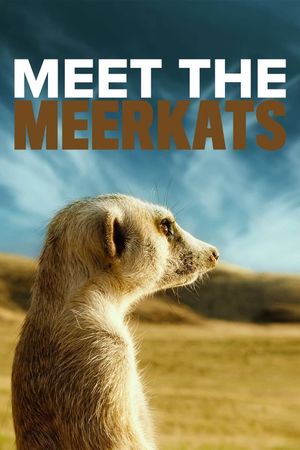 Meet the Meerkats's poster