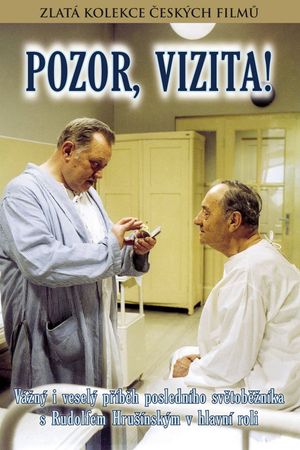 Pozor, vizita!'s poster