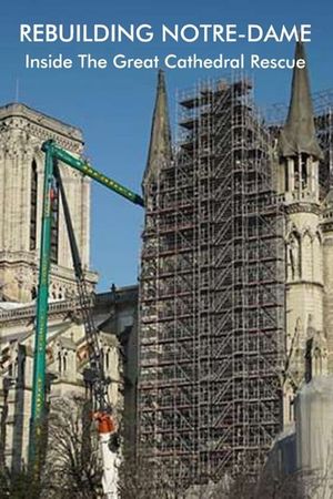 Rebuilding Notre-Dame: Inside the Great Cathedral Rescue's poster image