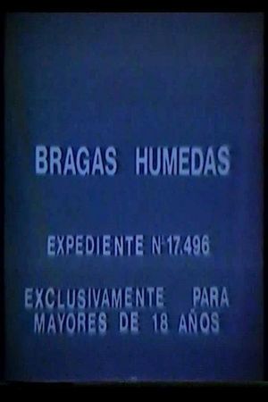 Bragas húmedas's poster