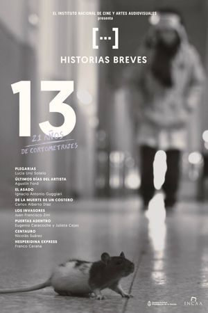Historias Breves 13's poster