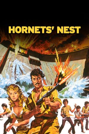 Hornets' Nest's poster image