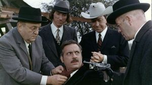 Cry of the Cormoran's poster