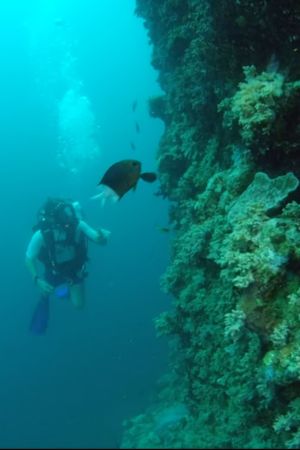 Wonders of the Great Barrier Reef with Iolo Williams's poster