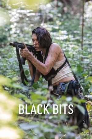 Black Bits's poster