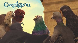 Curpigeon's poster