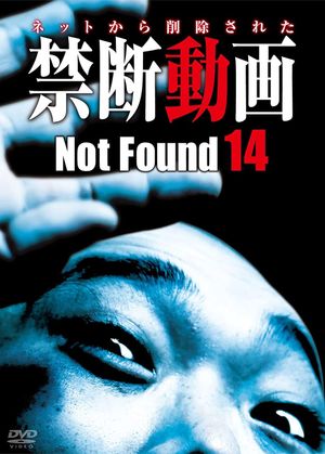 Not Found 14's poster