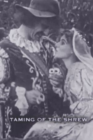 The Taming of the Shrew's poster