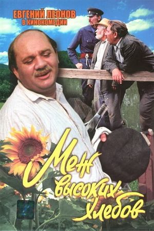 Mezh vysokikh khlebov's poster