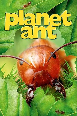 Planet Ant: Life Inside The Colony's poster image