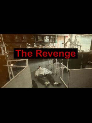 The Revenge's poster