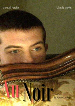 Au noir's poster