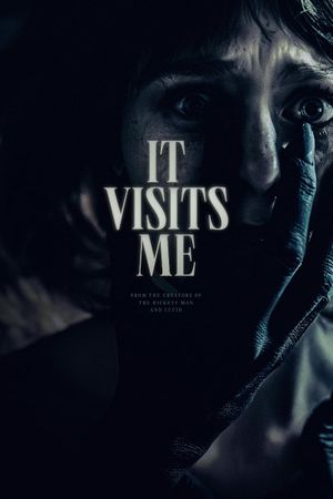 It visits me's poster